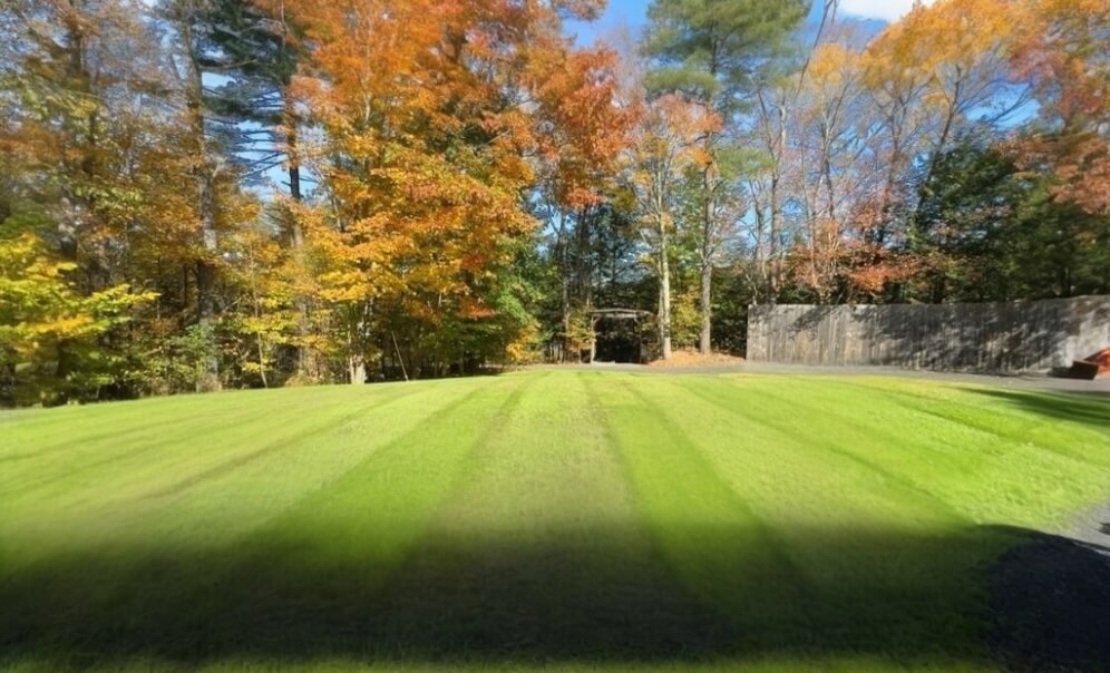 Photoroom_20250304_104832